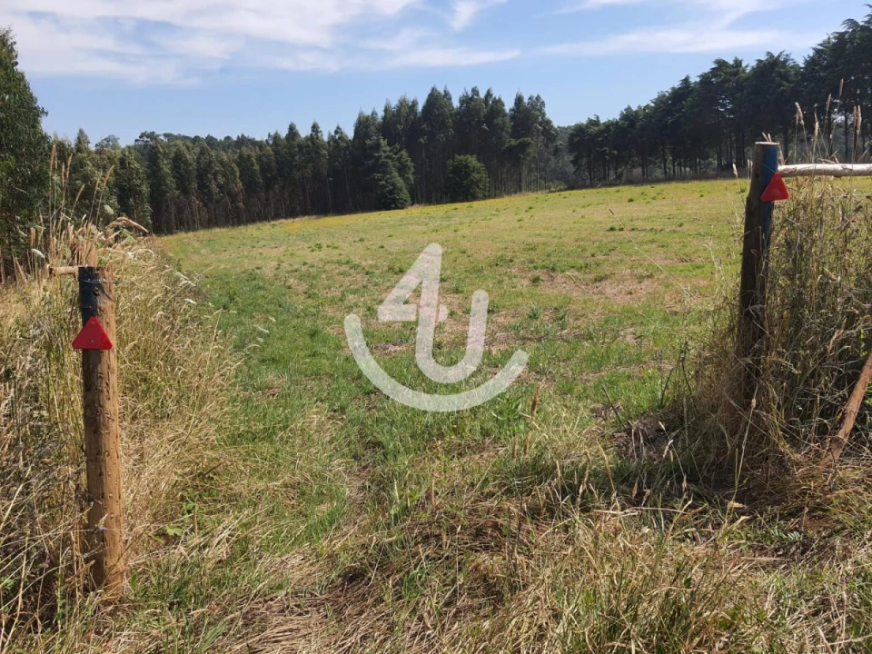 Terreno Agricola ou Rústico para Venda em Famalicão Foto 4