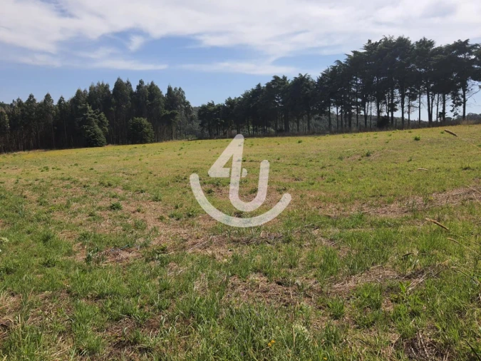 Terreno Agricola ou Rústico para Venda em Famalicão Foto 1