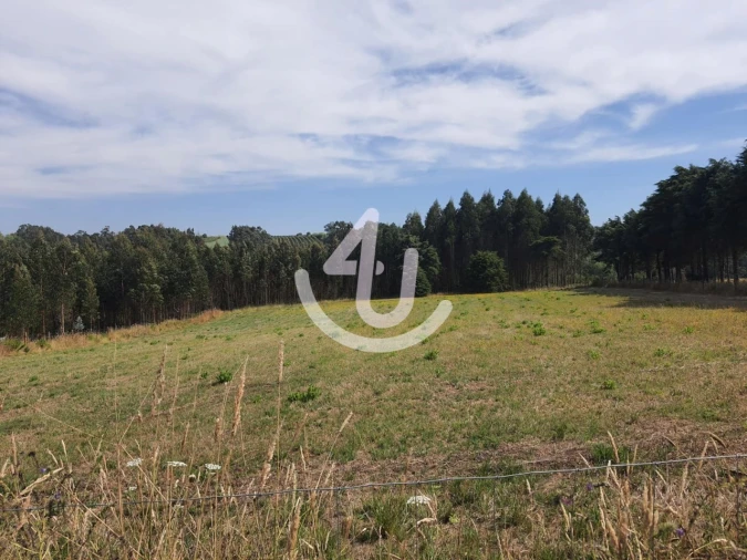 Terreno Agricola ou Rústico para Venda em Famalicão Foto 3