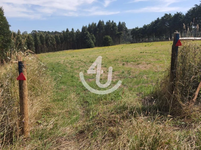 Terreno Agricola ou Rústico para Venda em Famalicão Foto 4