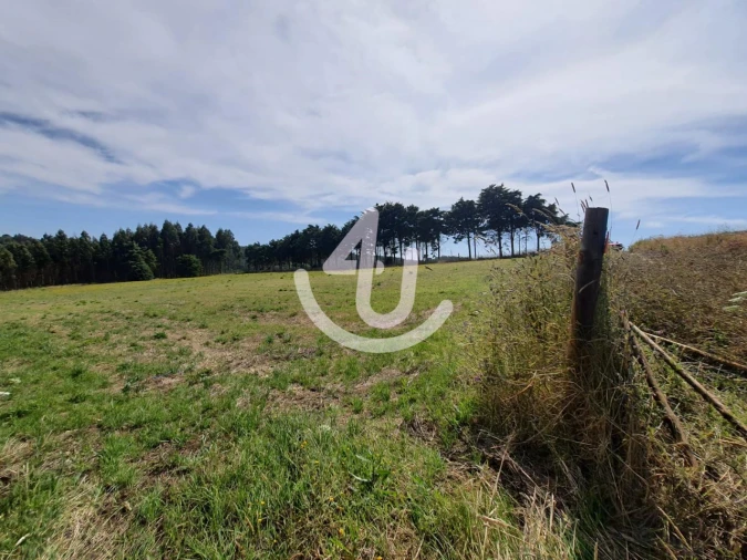 Terreno Agricola ou Rústico para Venda em Famalicão Foto 5