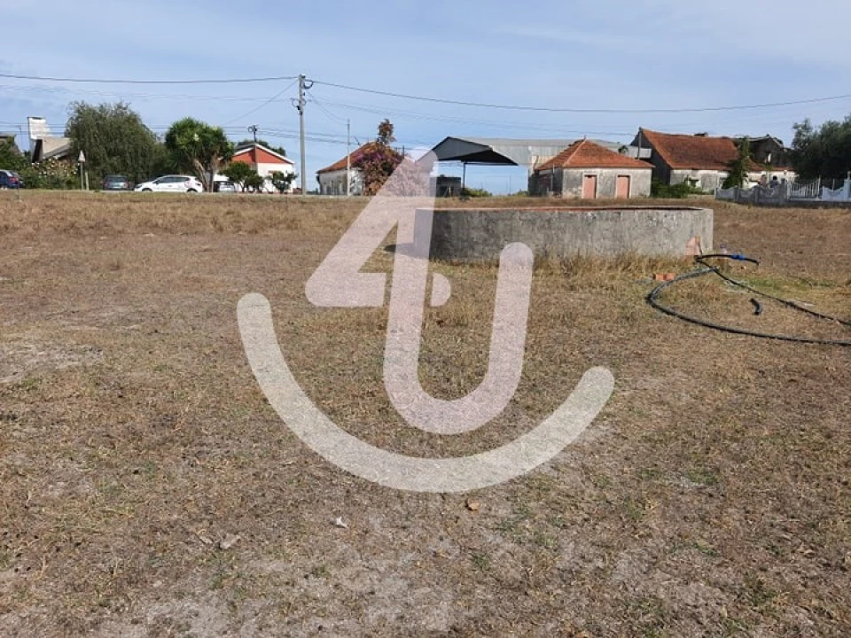 Terreno para Venda em Juncal Foto 6