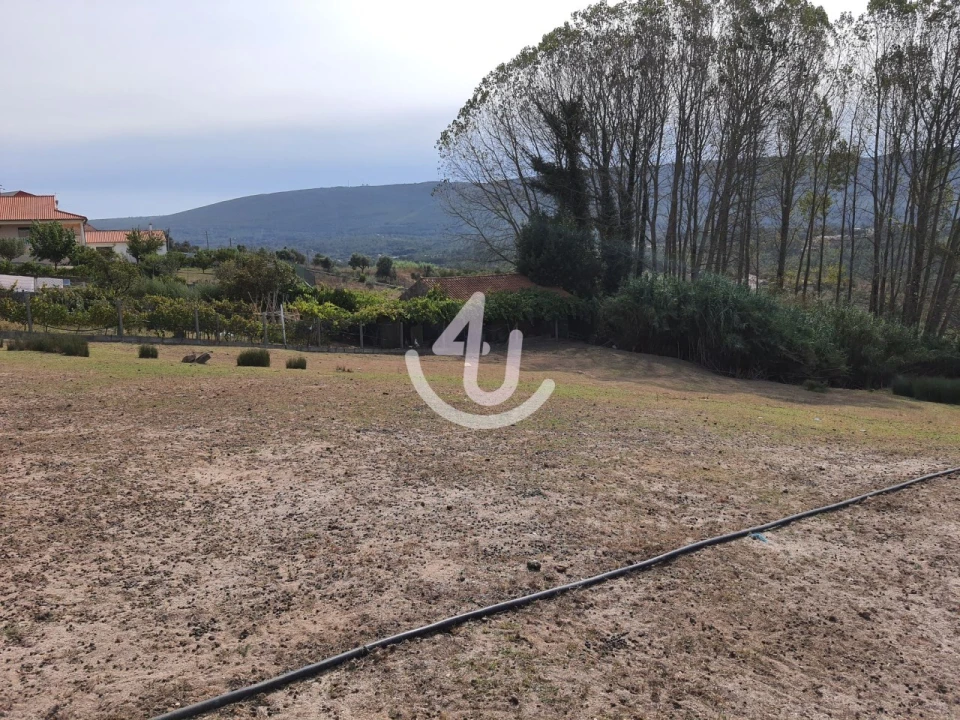 Terreno para Venda em Juncal Foto 4