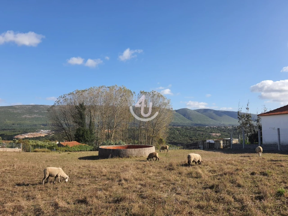 Terreno para Venda em Juncal Foto 2