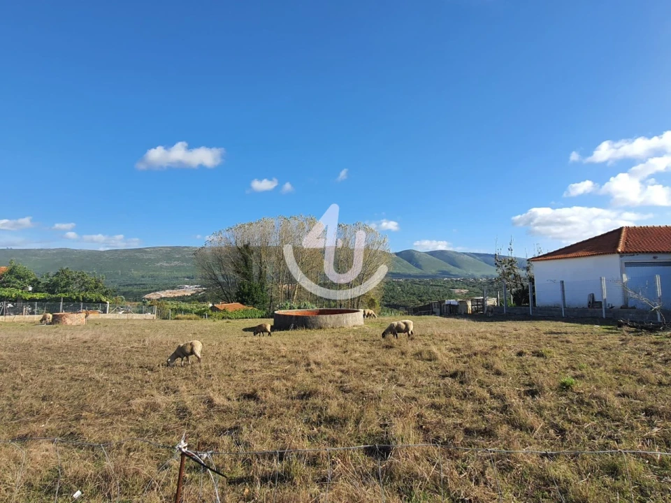 Terreno para Venda em Juncal Foto 1