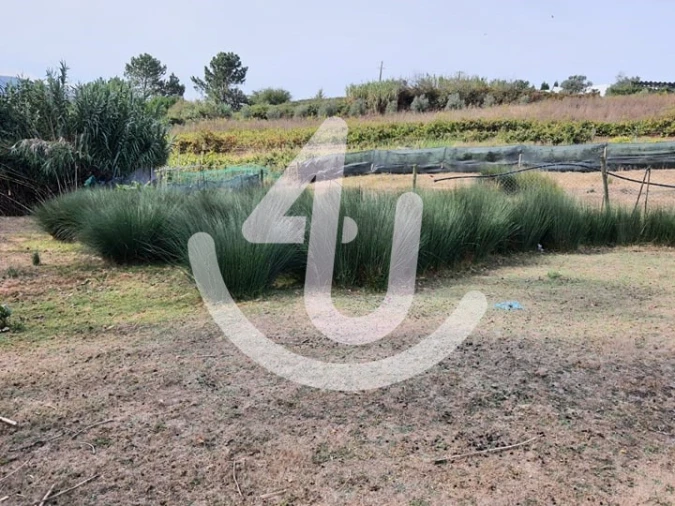 Terreno para Venda em Juncal Foto 7