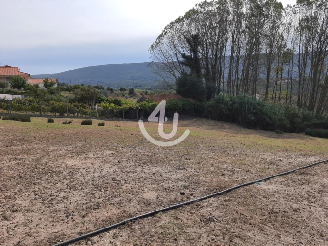 Terreno para Venda em Juncal Foto 4