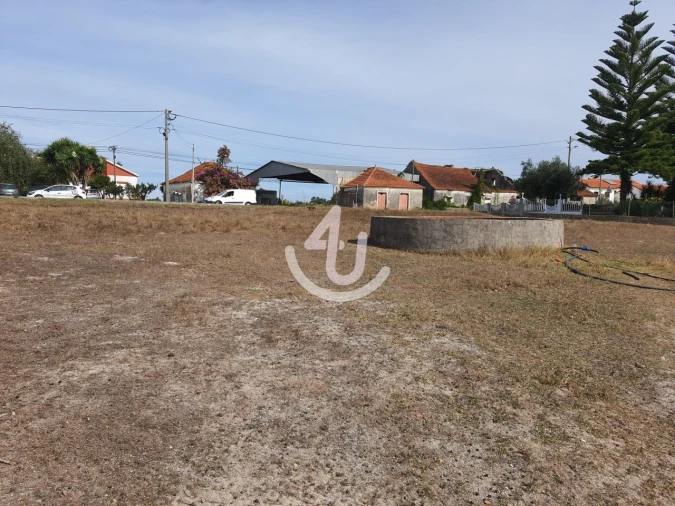 Terreno para Venda em Juncal Foto 9