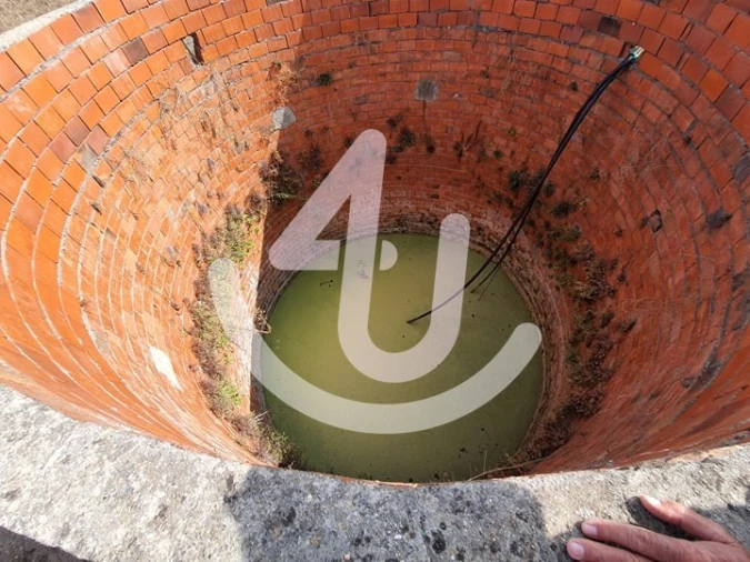 Terreno para Venda em Juncal Foto 10