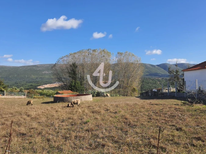 Terreno para Venda em Juncal Foto 11