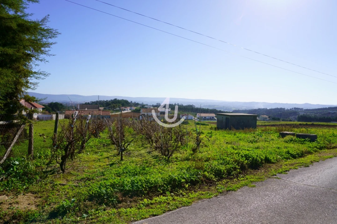 Terreno Agricola ou Rústico para Venda em Barrio Foto 1