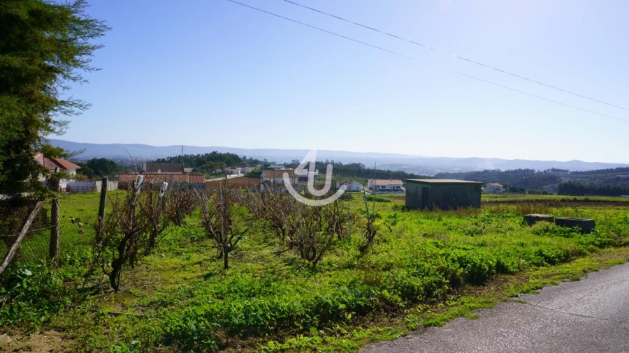 Terreno Agricola ou Rústico para Venda em Barrio