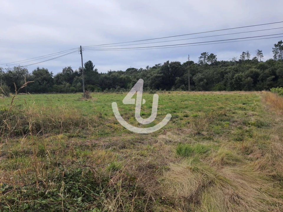 Terreno Agricola ou Rústico para Venda em Juncal Foto 2