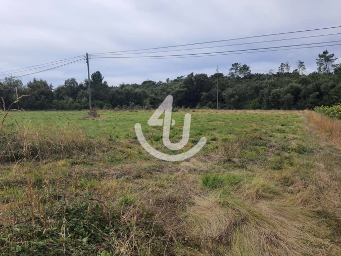 Terreno Agricola ou Rústico para Venda em Juncal Foto 1