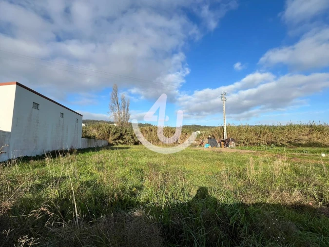 Terreno Agricola ou Rústico para Venda em Famalicão Foto 2