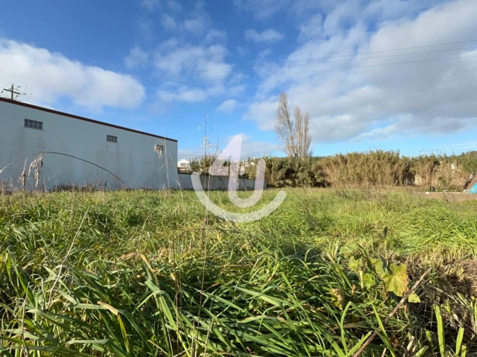 Terreno Agricola ou Rústico para Venda em Famalicão Foto 3