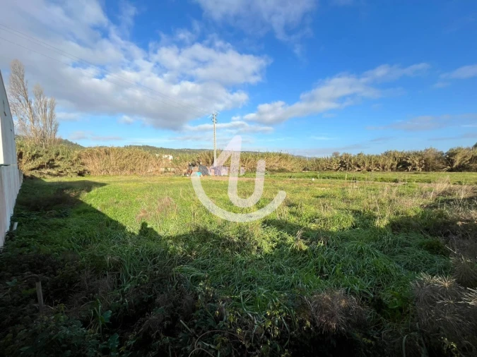 Terreno Agricola ou Rústico para Venda em Famalicão Foto 6