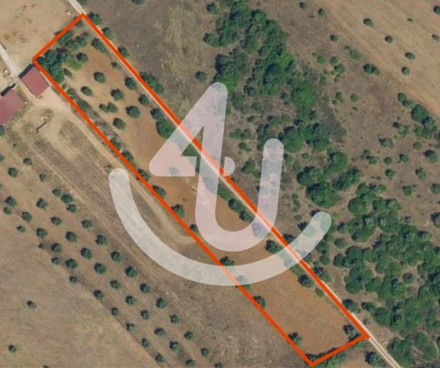 Terreno Agricola ou Rústico para Venda em Marmeleira e Assentiz Foto 1