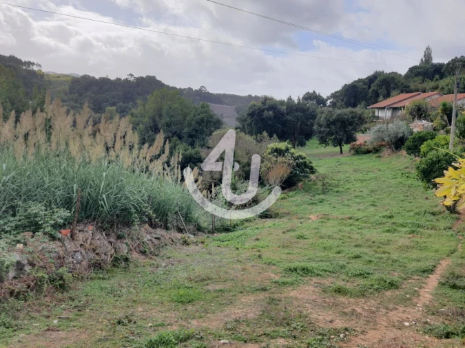 Terreno para Venda em Alcobaça e Vestiaria
