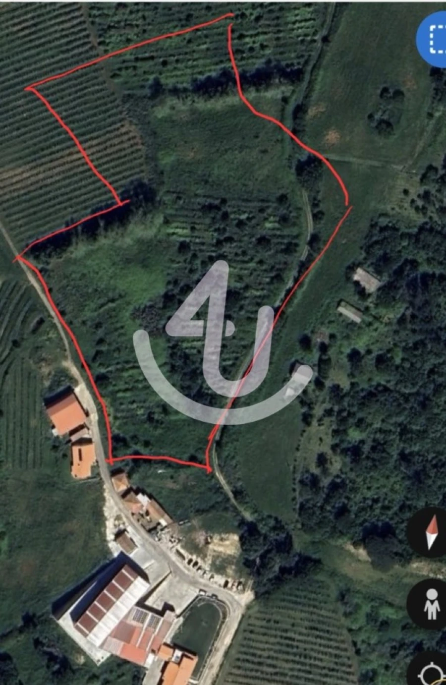 Terreno para Venda em Cela Foto 6