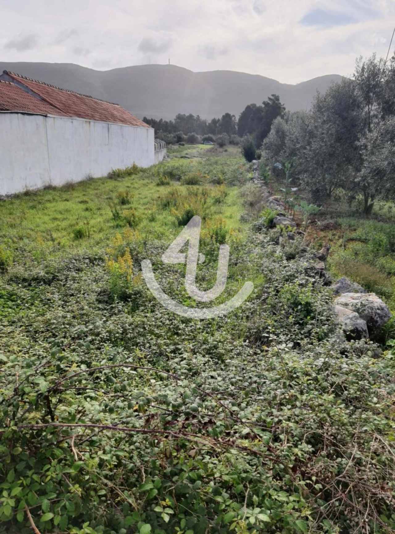 Terreno para Venda em Aljubarrota Foto 1