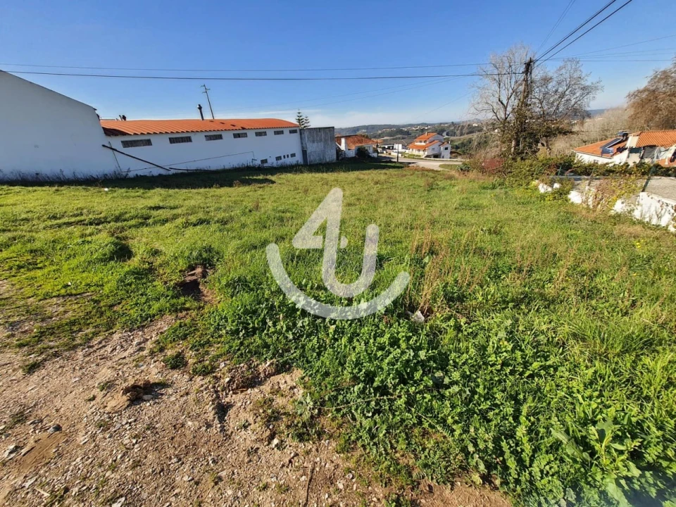 Terreno para Venda em Aljubarrota Foto 3