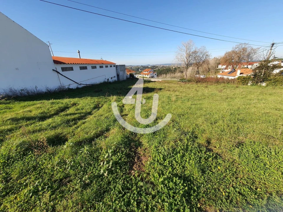 Terreno para Venda em Aljubarrota Foto 4