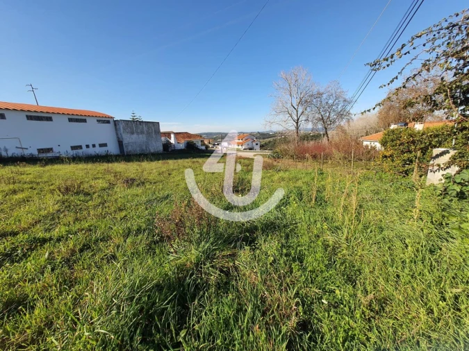 Terreno para Venda em Aljubarrota Foto 1