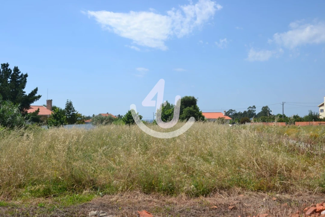 Terreno para Venda em Aljubarrota Foto 1