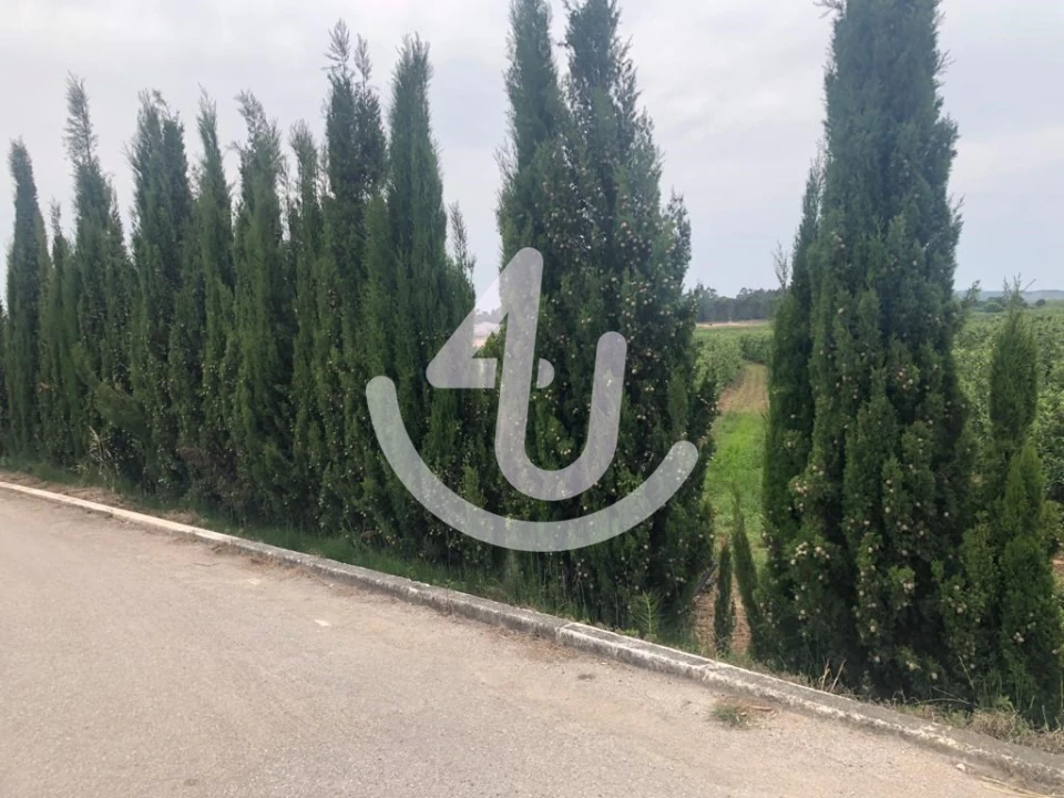 Terreno para Venda em Alfeizerão Foto 1