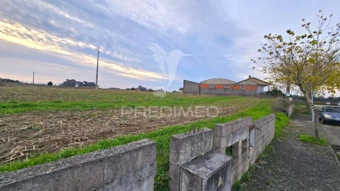 Terreno para Venda em Oliveirinha