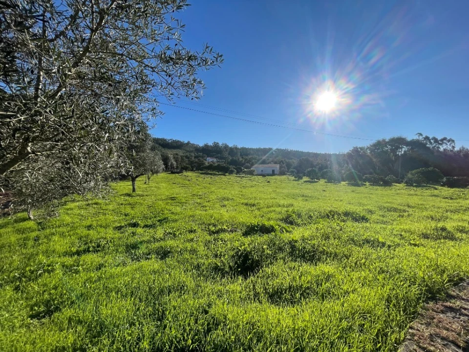 Moradia T5 para Venda em Nossa Senhora do Pranto Foto 12