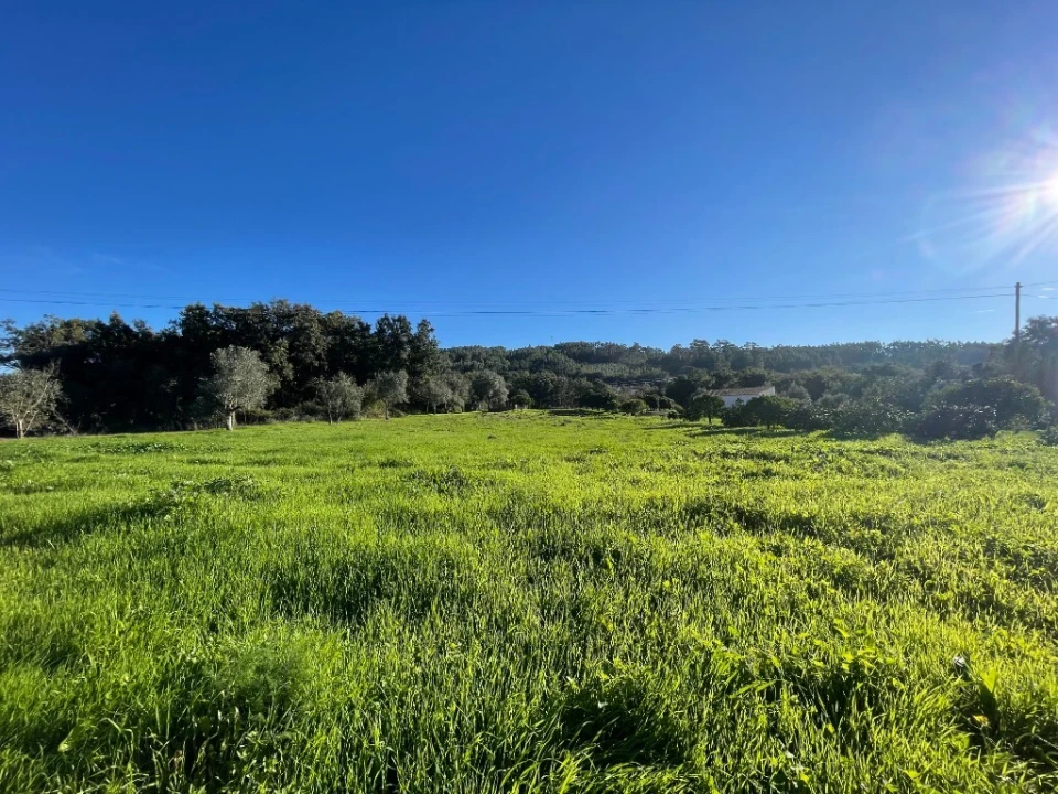 Moradia T5 para Venda em Nossa Senhora do Pranto Foto 10