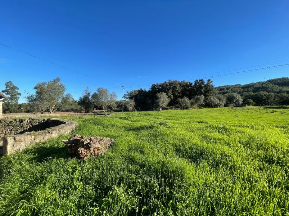 Moradia T5 para Venda em Nossa Senhora do Pranto Foto 11