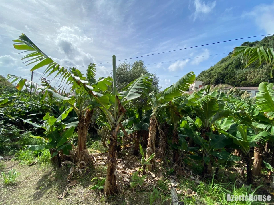 Prédio para Venda em Ribeira Quente Foto 19