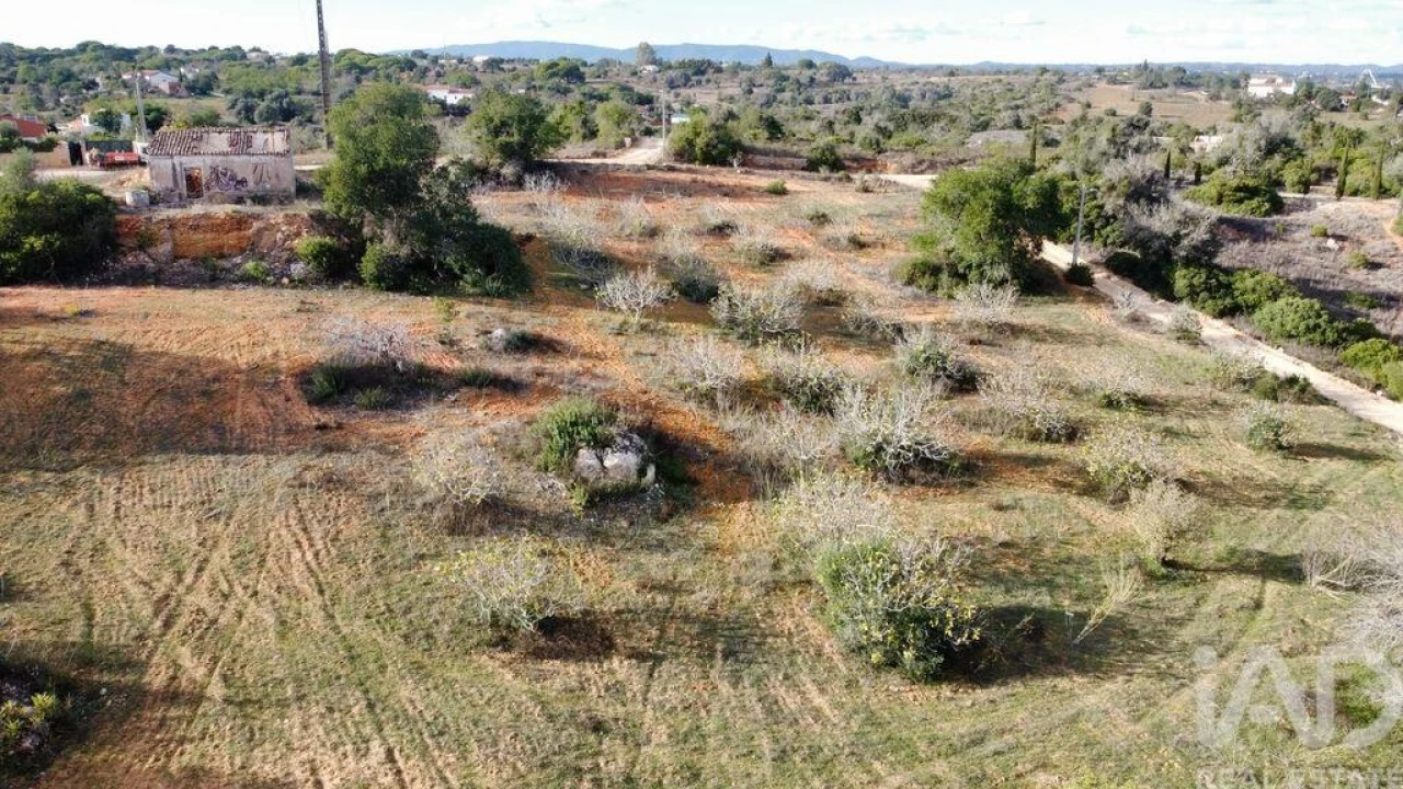 Terreno para Venda em Alcantarilha e Pêra Foto 4
