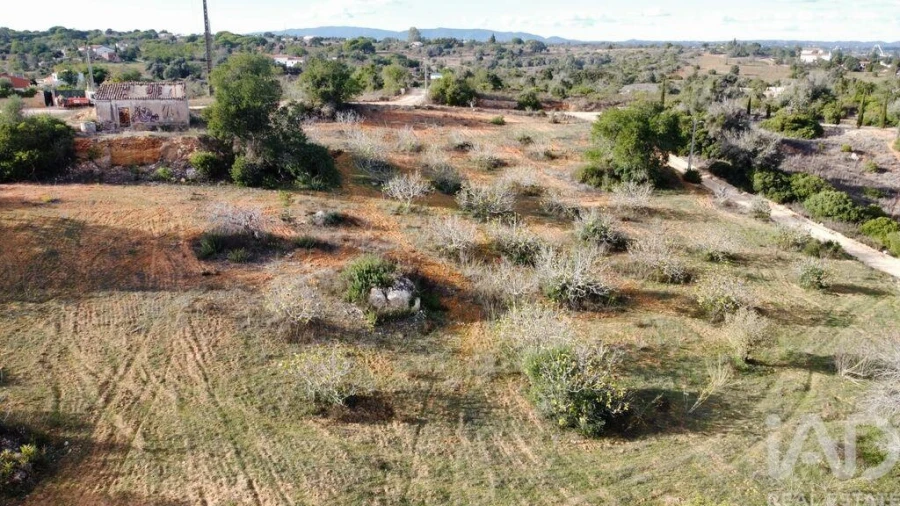 Terreno para Venda em Alcantarilha e Pêra Foto 4