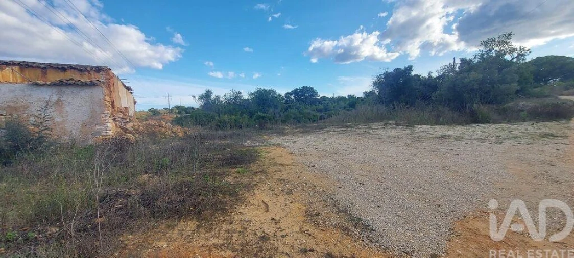 Terreno para Venda em Alcantarilha e Pêra Foto 9