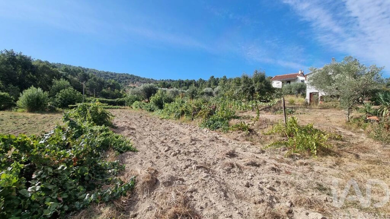 Moradia T3 para Venda em Rapa e Cadafaz Foto 11