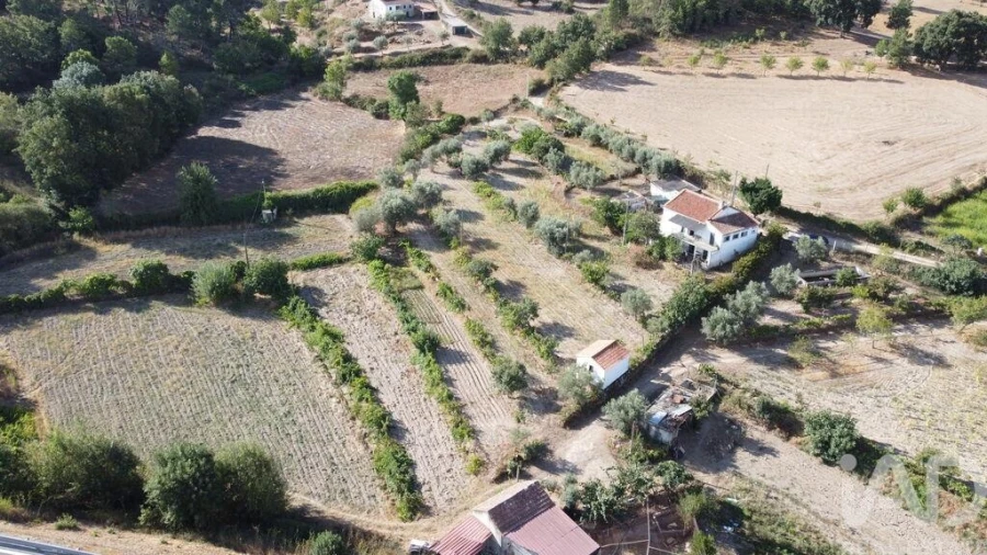 Moradia T3 para Venda em Rapa e Cadafaz Foto 28