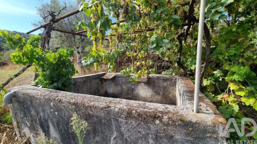 Moradia T3 para Venda em Rapa e Cadafaz Foto 16