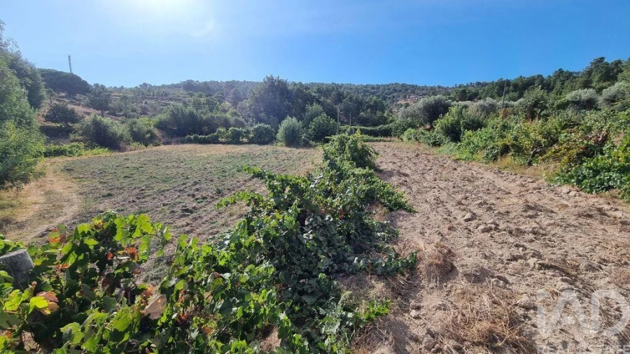 Moradia T3 para Venda em Rapa e Cadafaz Foto 10