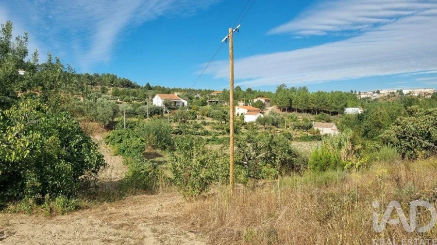 Moradia T3 para Venda em Rapa e Cadafaz Foto 14