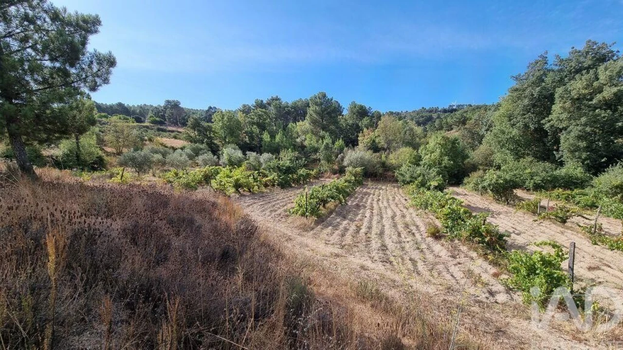 Moradia T3 para Venda em Rapa e Cadafaz Foto 13