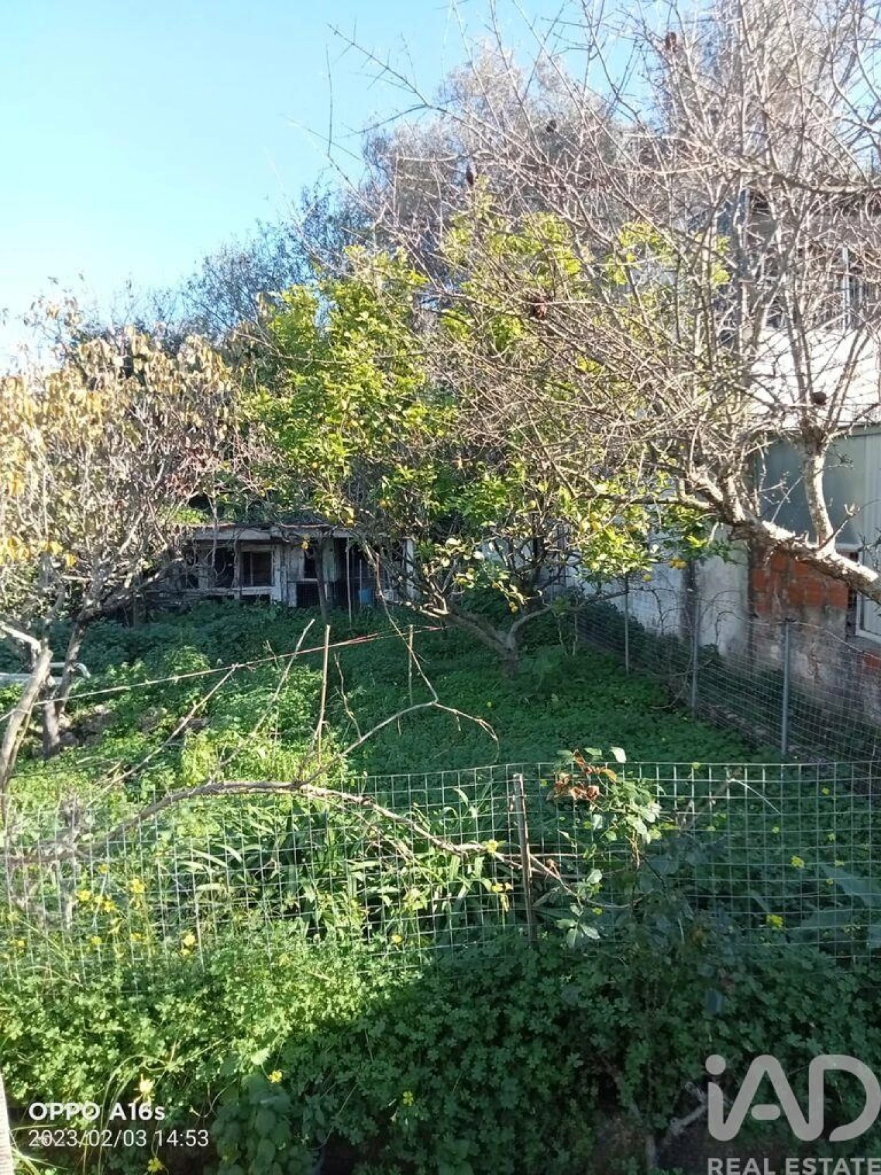 Moradia T3 para Venda em Boliqueime Foto 7