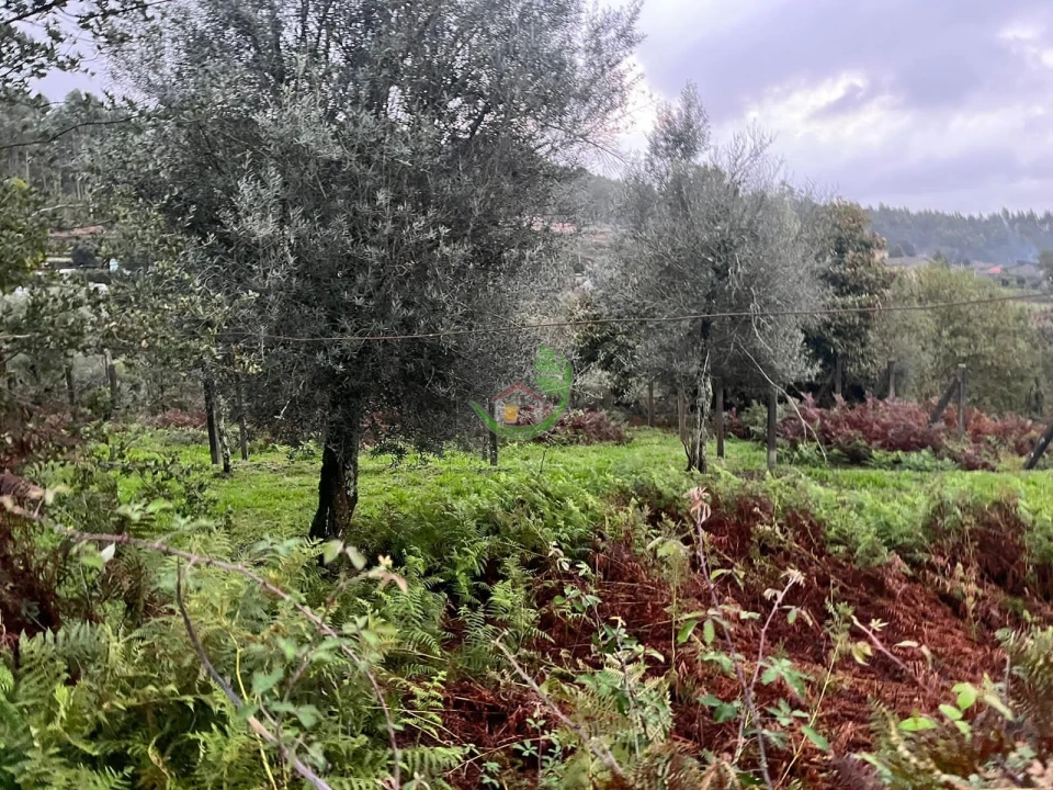 Moradia para Venda em Dossãos Foto 24