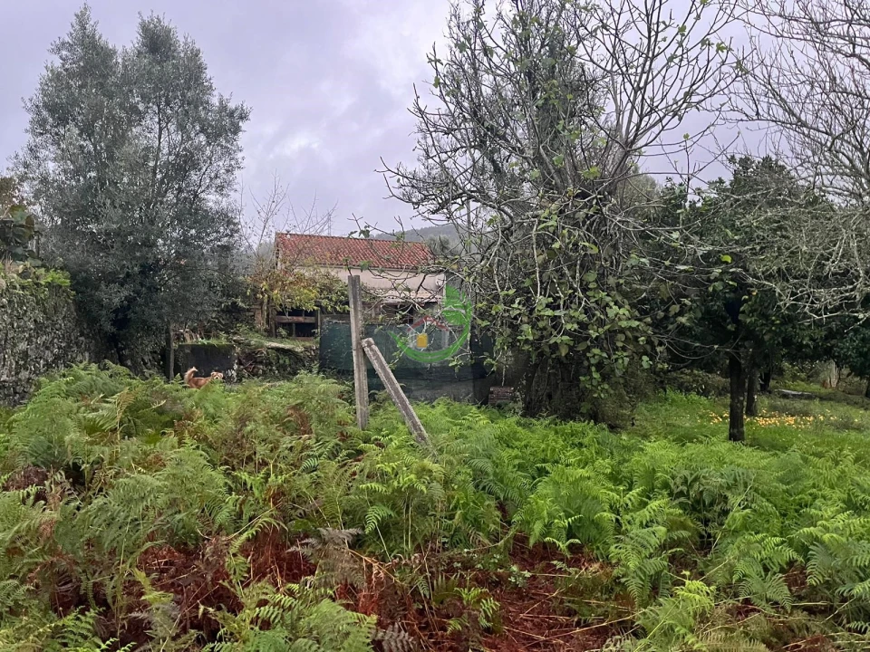 Moradia para Venda em Dossãos Foto 18