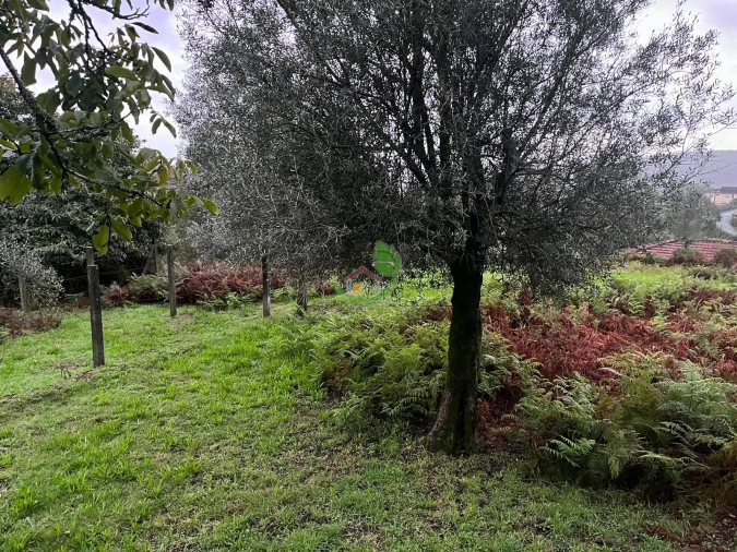 Moradia para Venda em Dossãos Foto 16