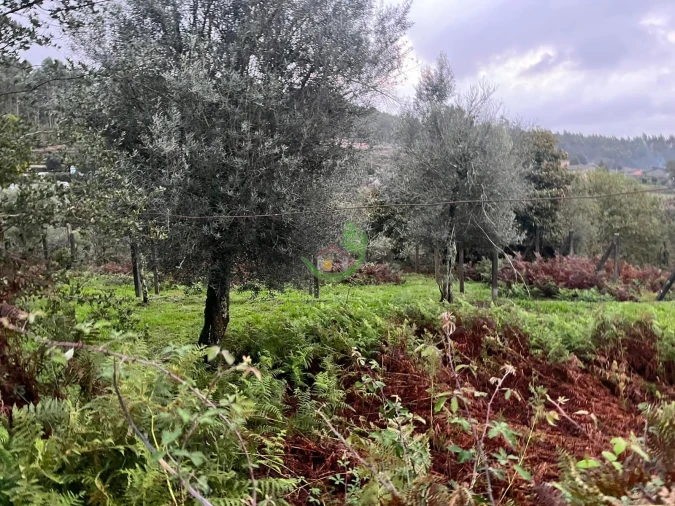 Moradia para Venda em Dossãos Foto 26