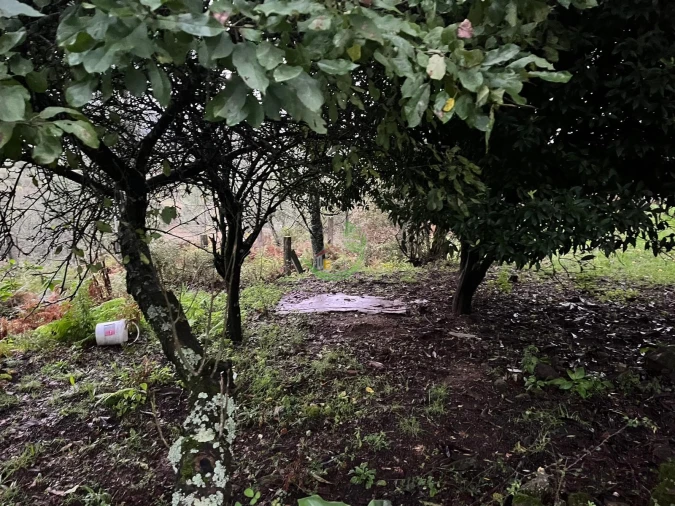 Moradia para Venda em Dossãos Foto 9